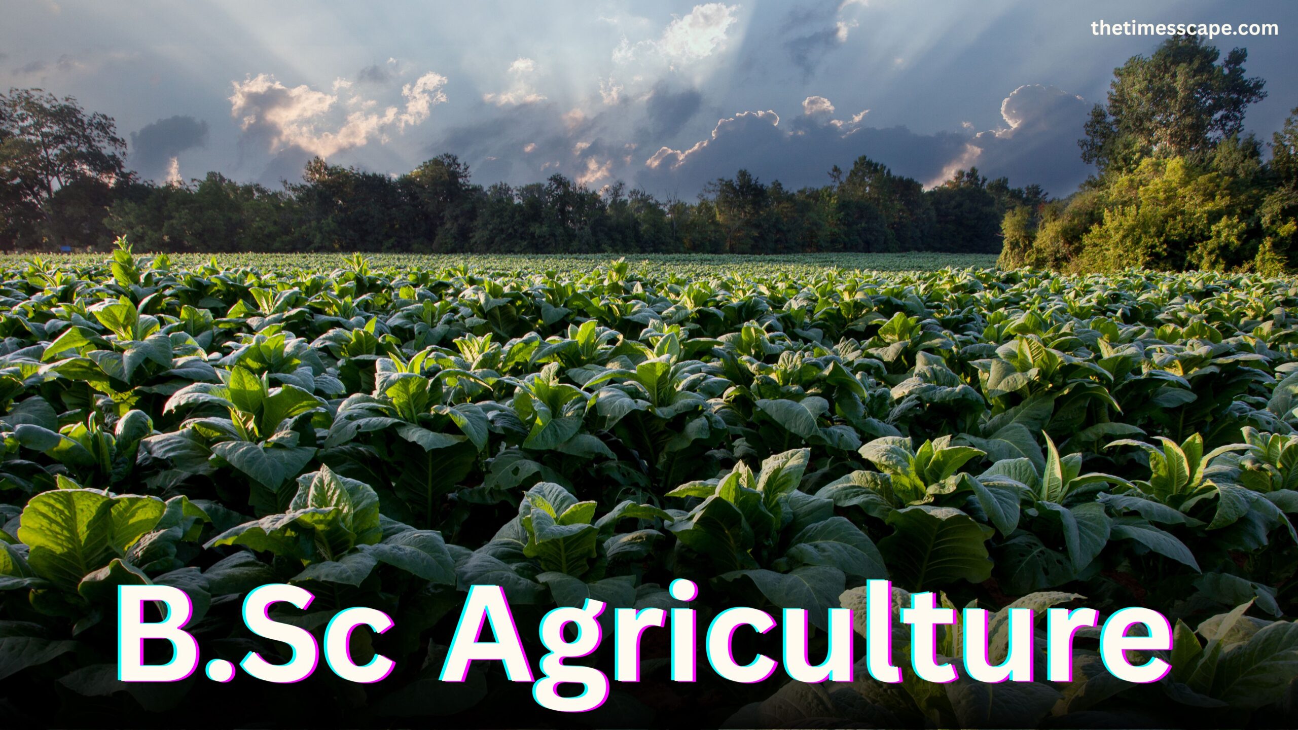 B.Sc agriculture